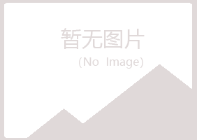 赤峰红山易烟能源有限公司